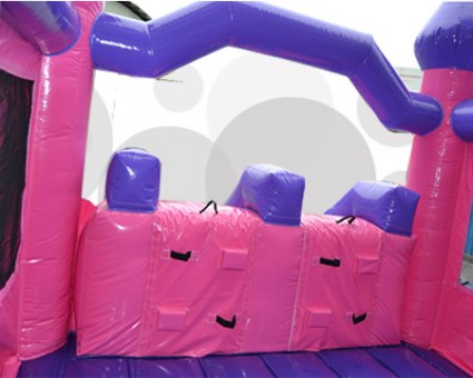 Pink Castle double Slide 20